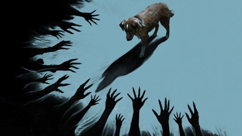 Chó Cưng Đừng Sợ